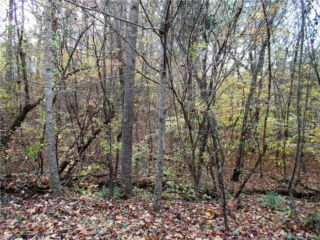 Lakeview Landing - Land