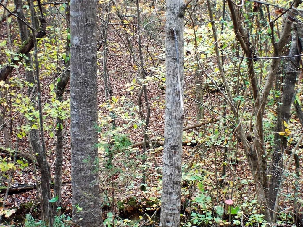 Lakeview Landing - Land