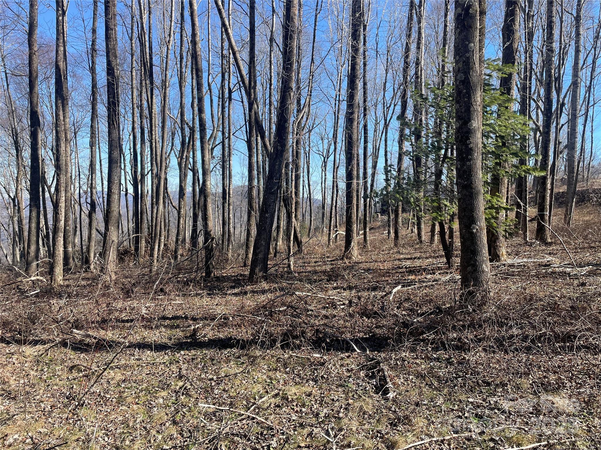 LOT 20 Laurel Ledge Way