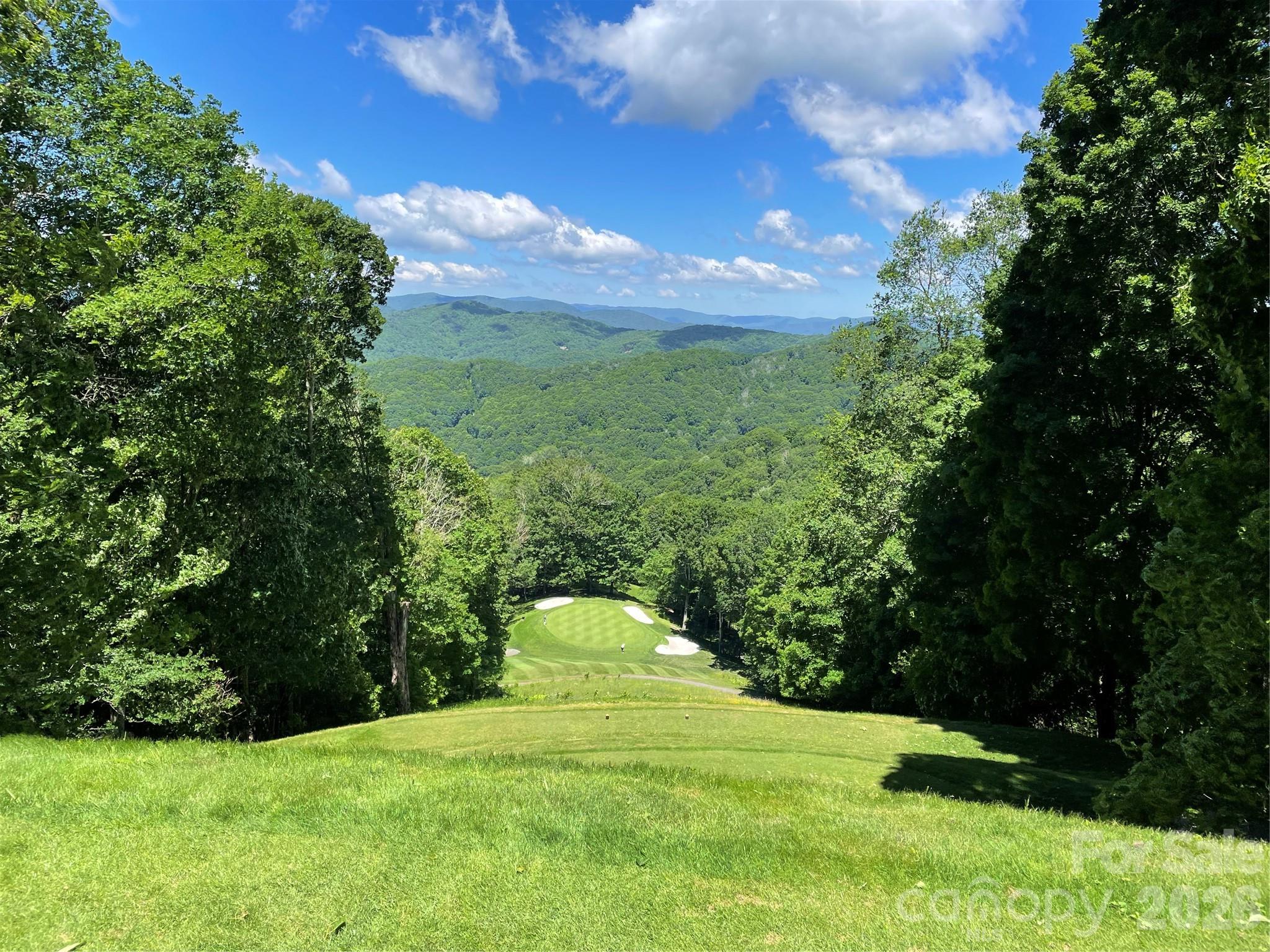 Wolf Laurel - Residential