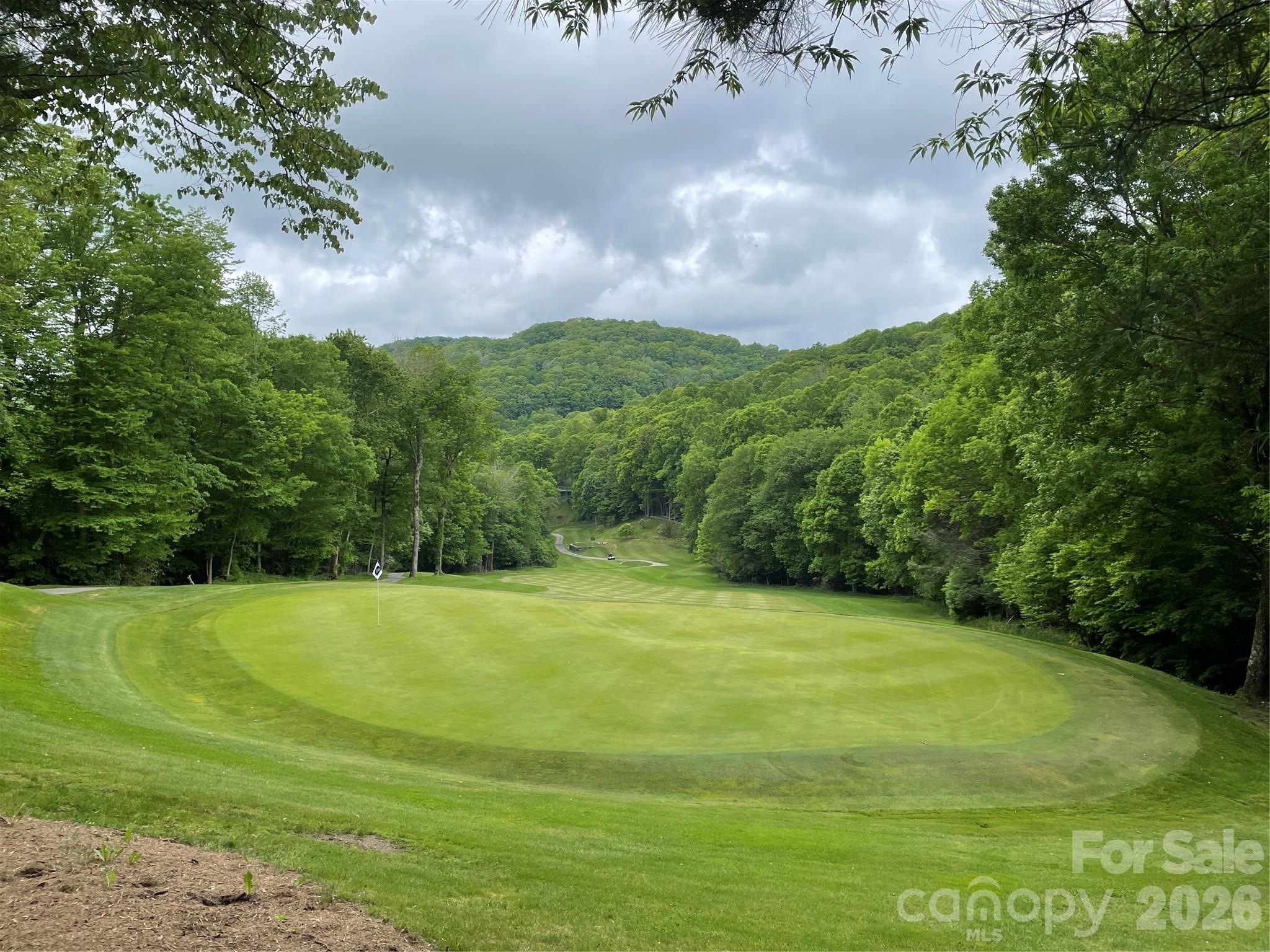 Wolf Laurel - Residential