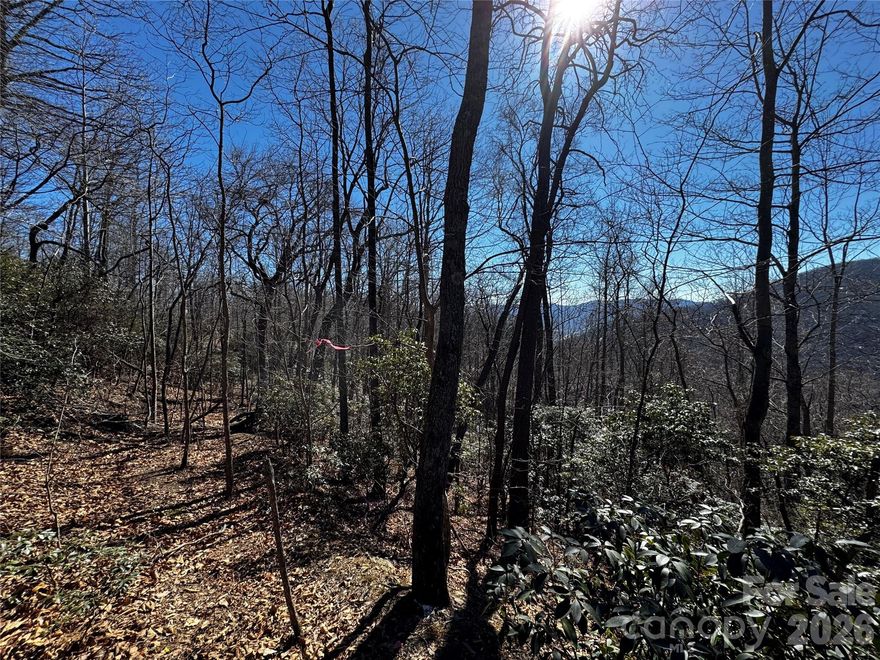 Located at the end of a quiet cul-de-sac, this 1.1-acre Laurel Ridge lot offers beautiful mountain views and an ideal setting for your custom home. House plans are available. Laurel Ridge is a peaceful, gated mountain community just 15 minutes from Black Mountain and approximately 30 minutes from downtown Asheville. The neighborhood backs up to the Asheville watershed and is surrounded by acres of protected forest, providing privacy and a serene setting. Community features include paved roads, community water, underground utilities with fiber-optic cable, and a Black Mountain Fire Department sub-station. A perfect blend of natural beauty, safety, and convenience.