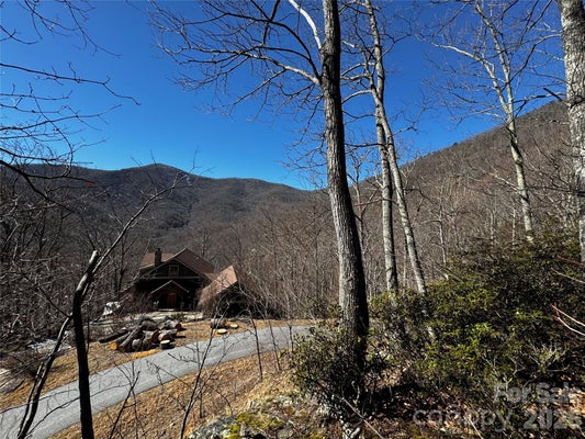 BLACK MOUNTAIN AVE, BLACK MOUNTAIN, NC 28711 - Image f35db484c476b1ef6e5dab2a3dd984fb/484227182