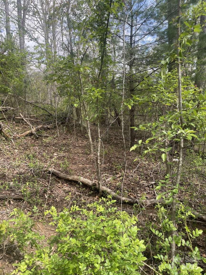 151 Richmond Ridge Road