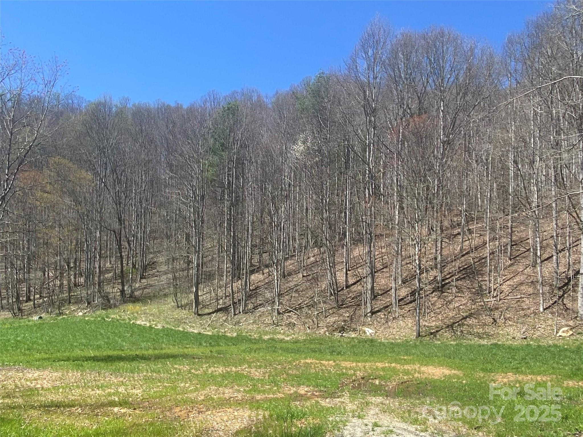 00 Laurel Valley Road