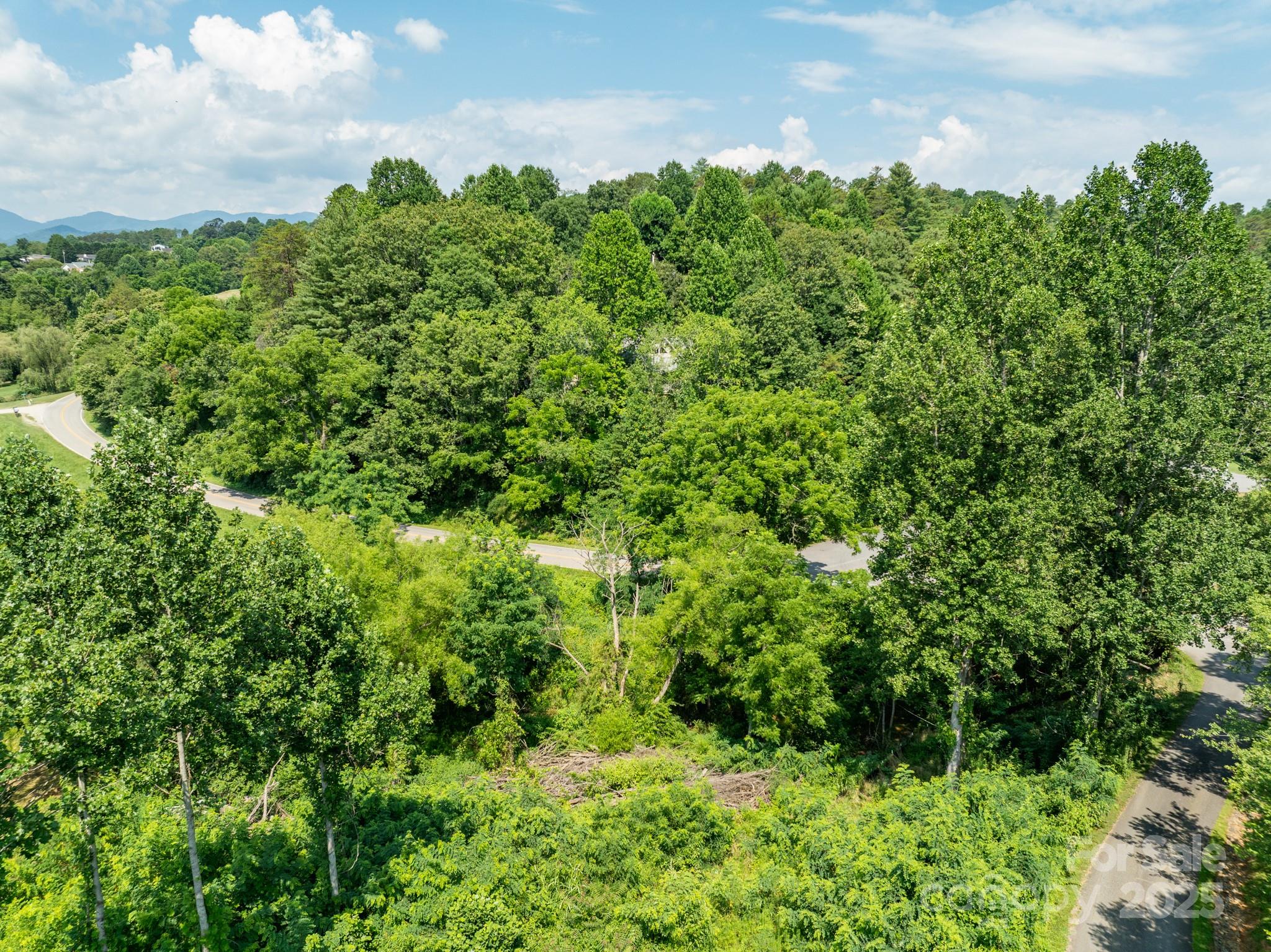 52 Goughes Branch Road