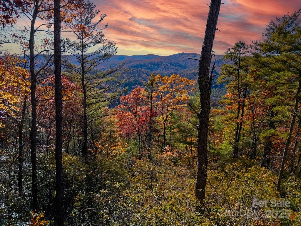 TBD Morgan Drive Tract II