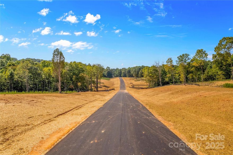 Welcome to Peyton's Creek! Choose between 14 lots, approximately 2 acres each, to build your dream home on! If you're looking for privacy but still want to be close to it all, now is your chance! NO HOA! Located off Laurel Cove Rd and just a short distance to lake access, downtown Troutman, Lake Norman State Park, Interstate 40 and 77. Please notify listing agent if you plan to tour the property. Please put 173 Laurel Cove Rd into your GPS as Boomer CT has not been updated to map searches. This property is agent own.