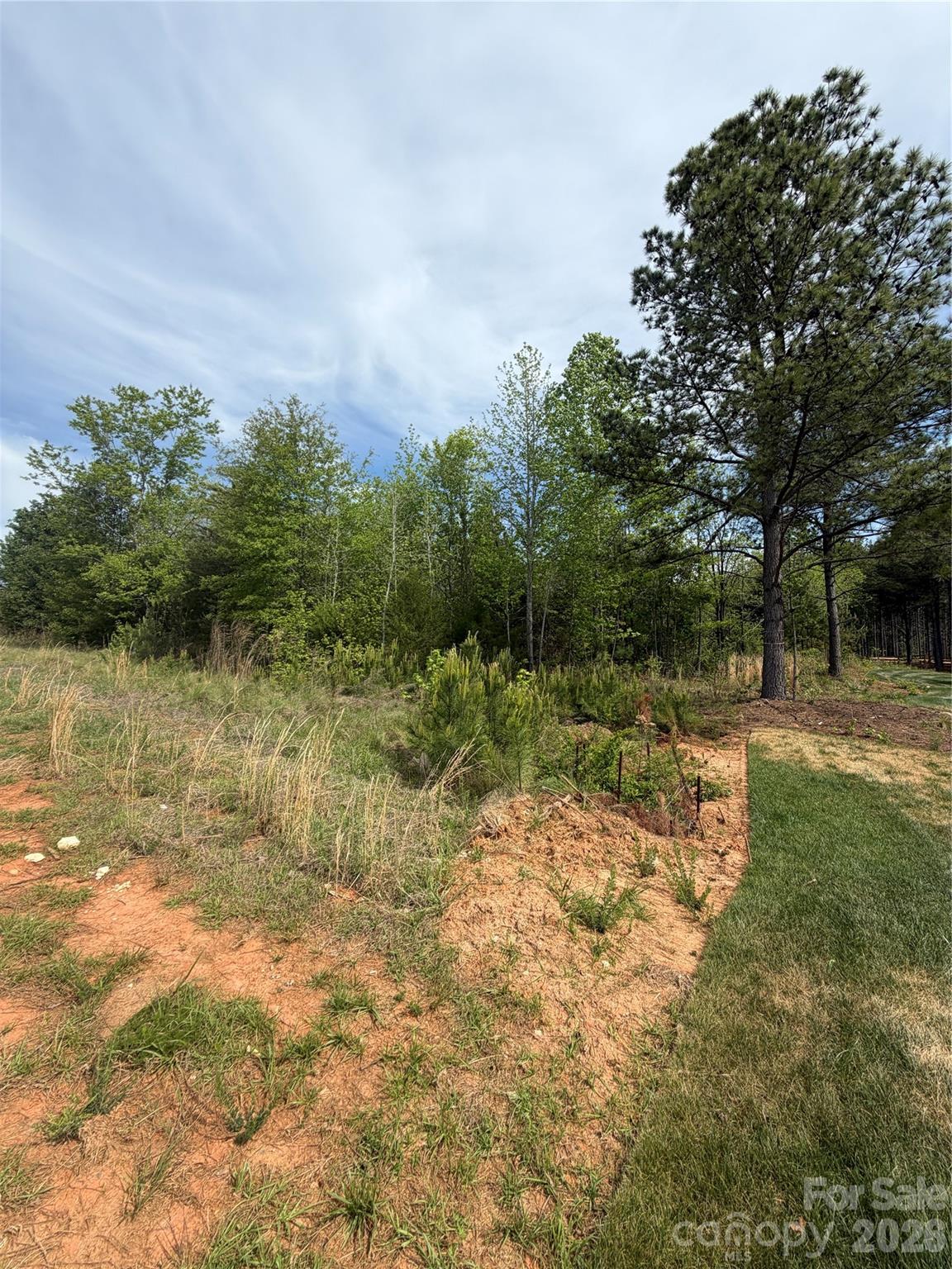 Shepherds Trace - Land