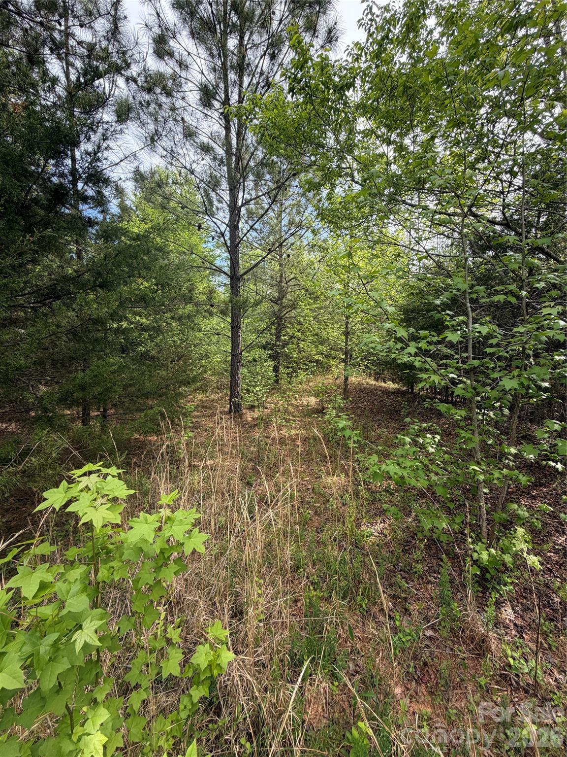 Shepherds Trace - Land