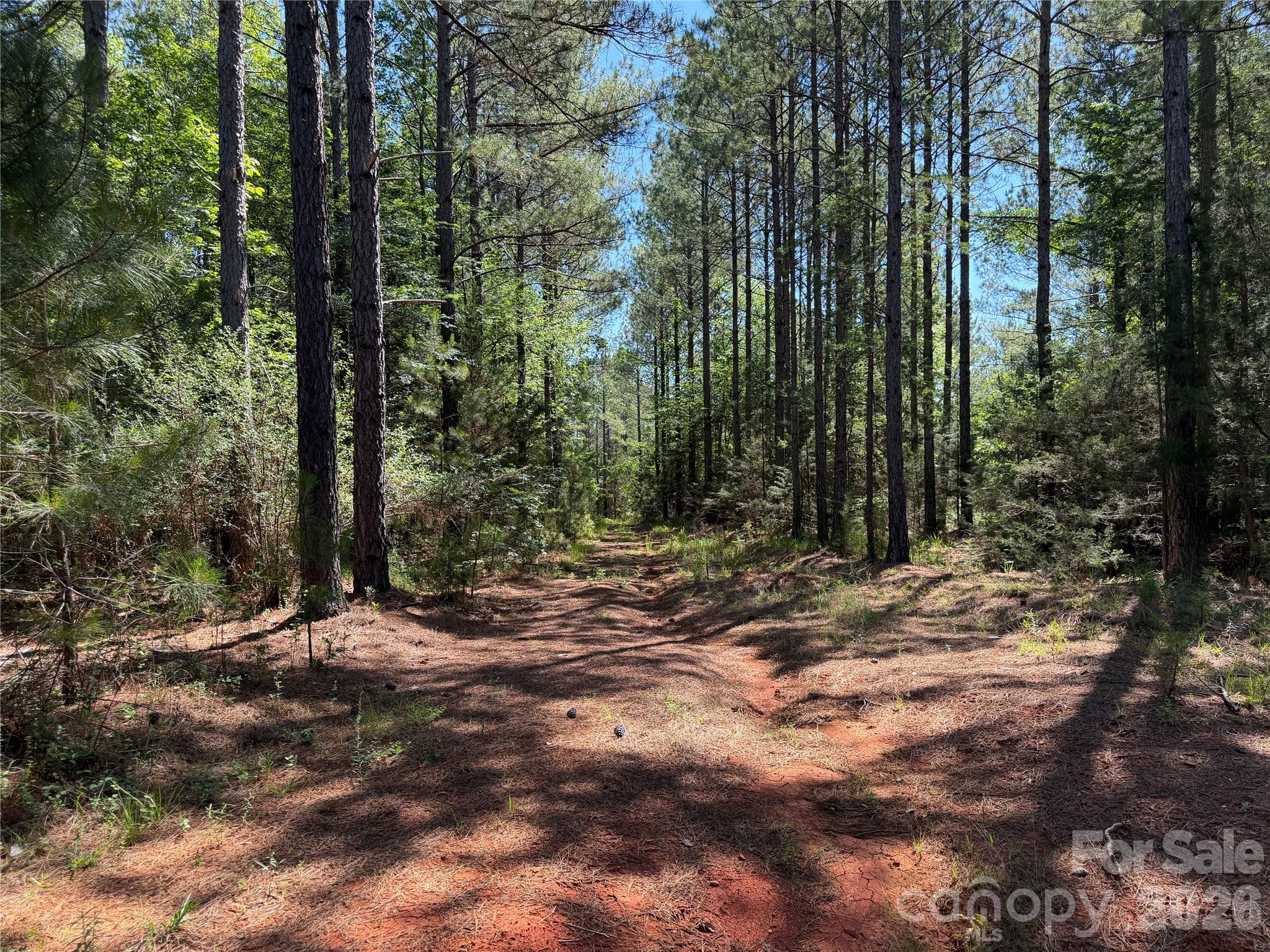 4531 Wilkinsville Highway