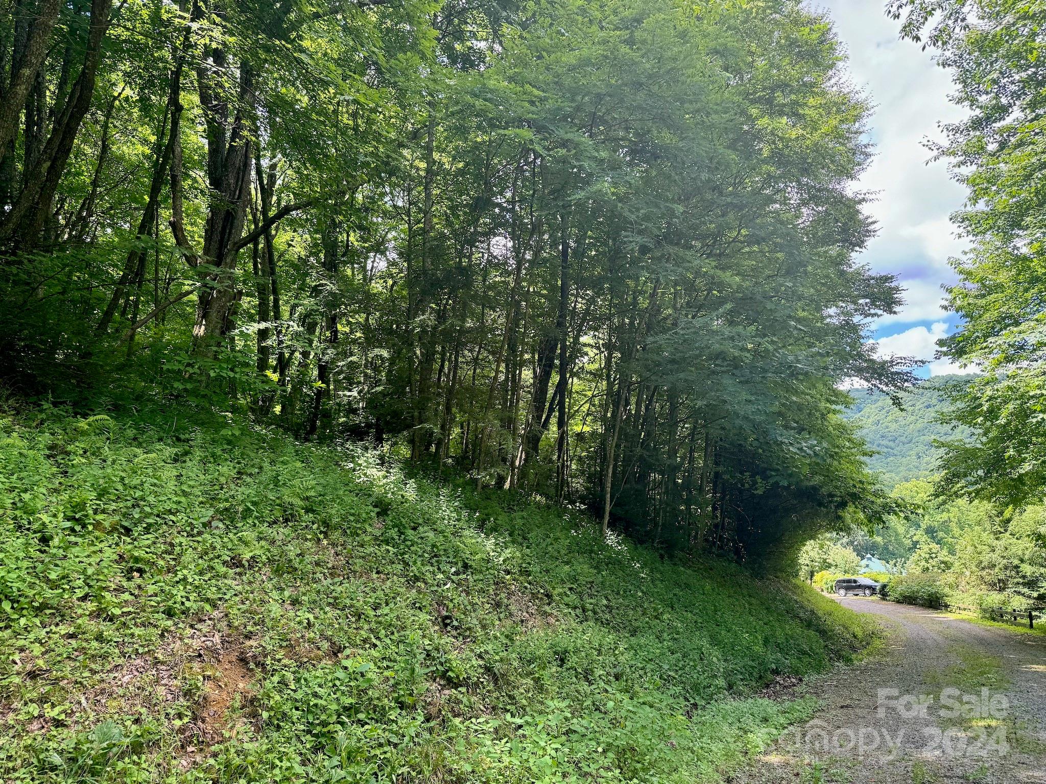 Wolf Creek Ranch - Land