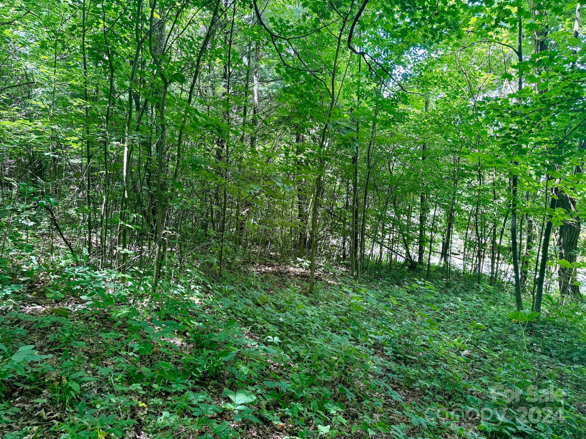 Wolf Creek Ranch - Land