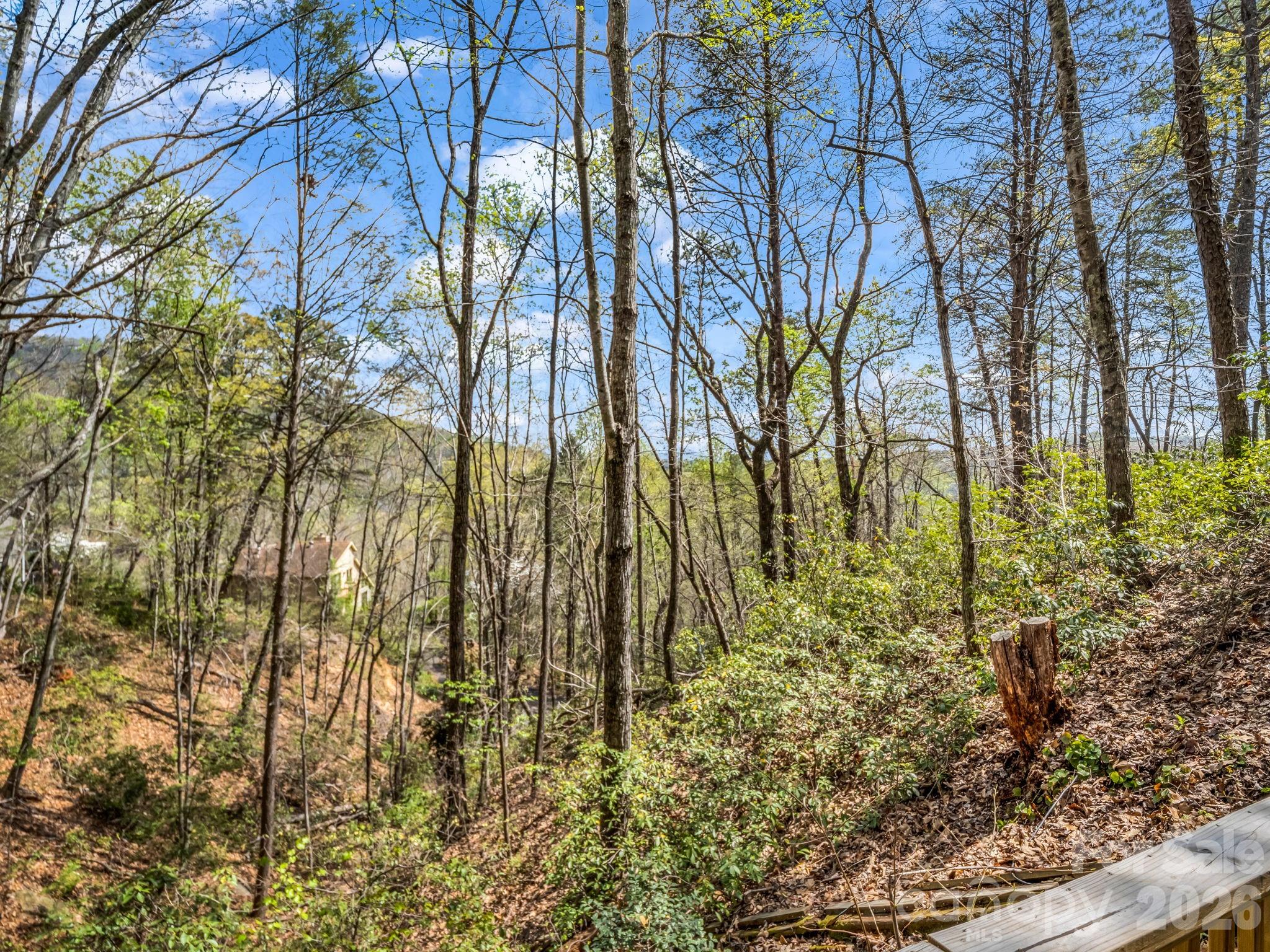 Rumbling Bald on Lake Lure - Residential