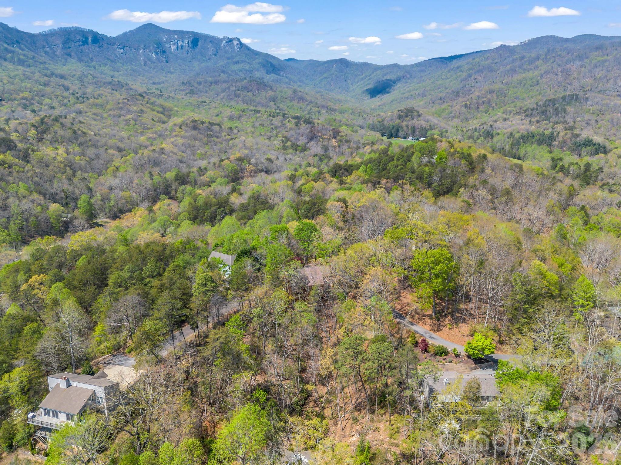 Rumbling Bald on Lake Lure - Residential