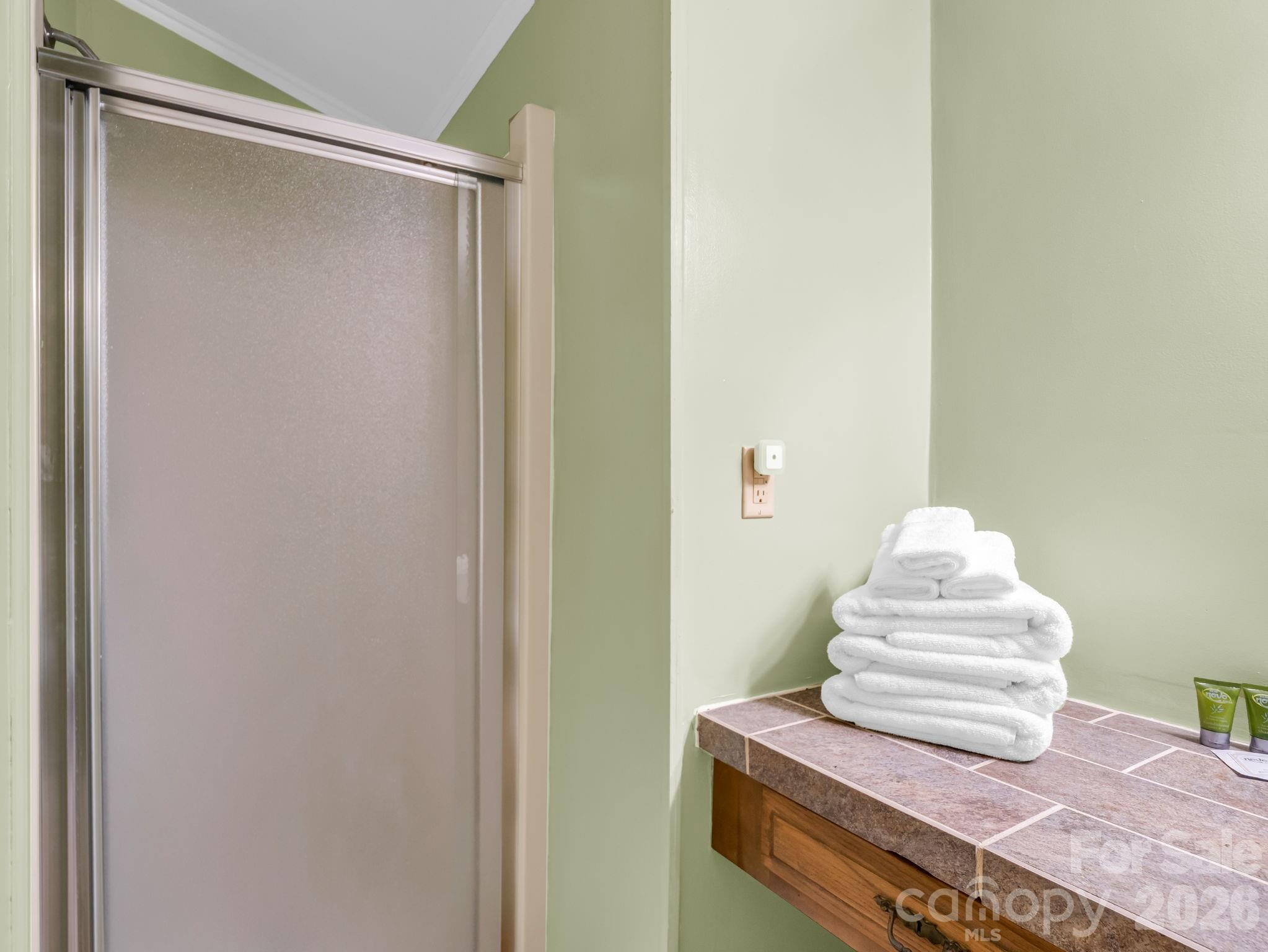 Rumbling Bald on Lake Lure - Residential