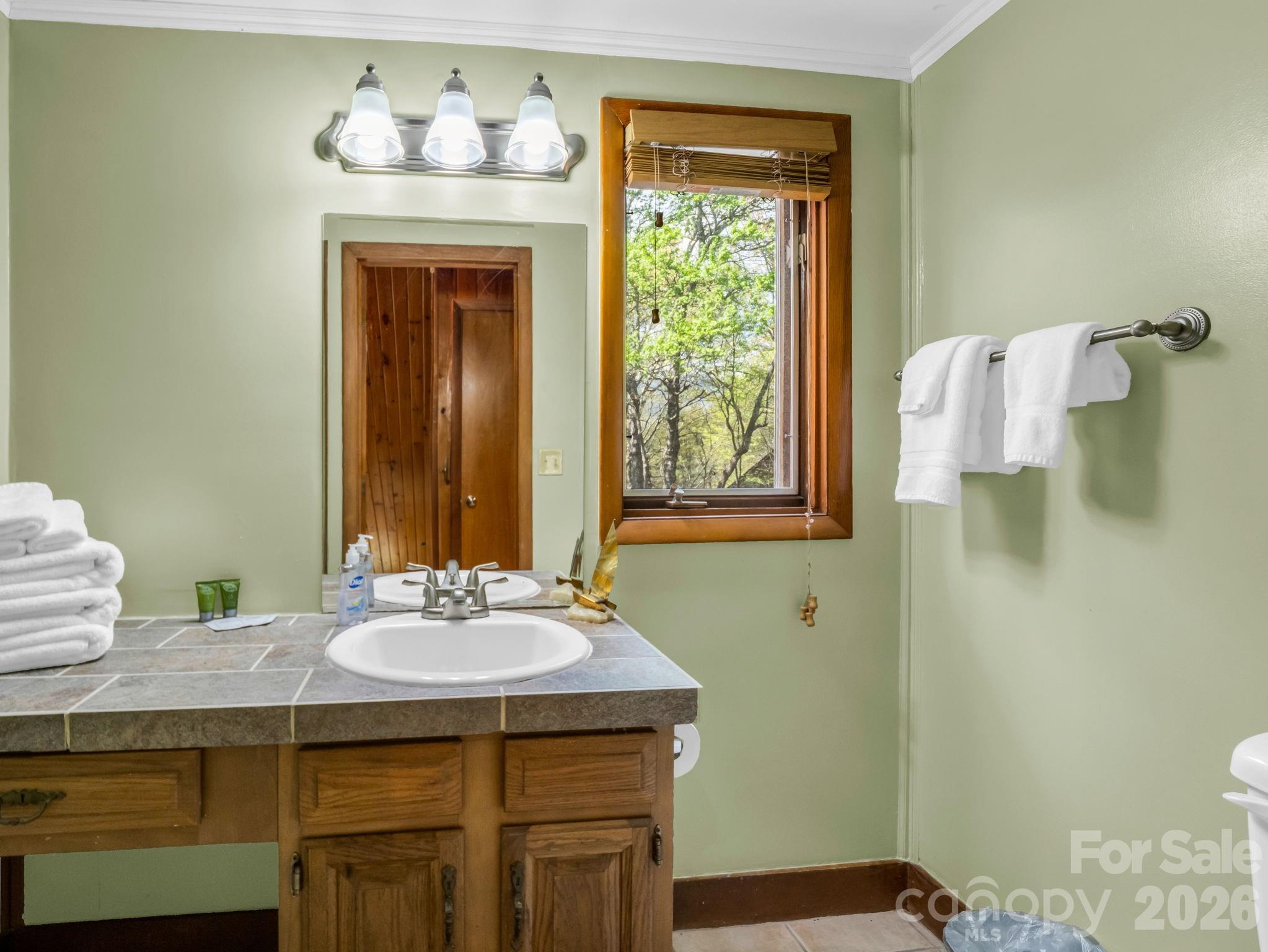 Rumbling Bald on Lake Lure - Residential