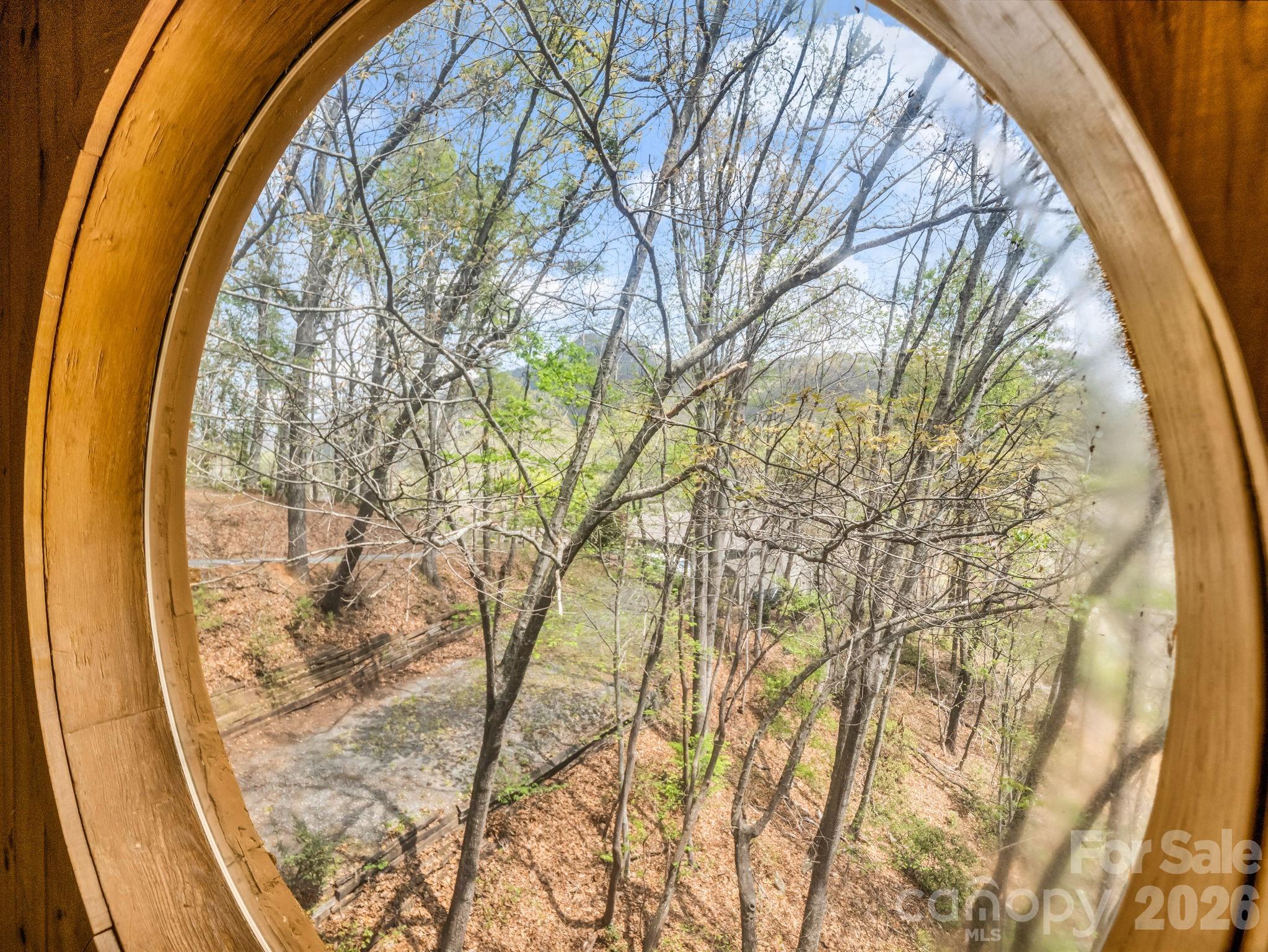 Rumbling Bald on Lake Lure - Residential