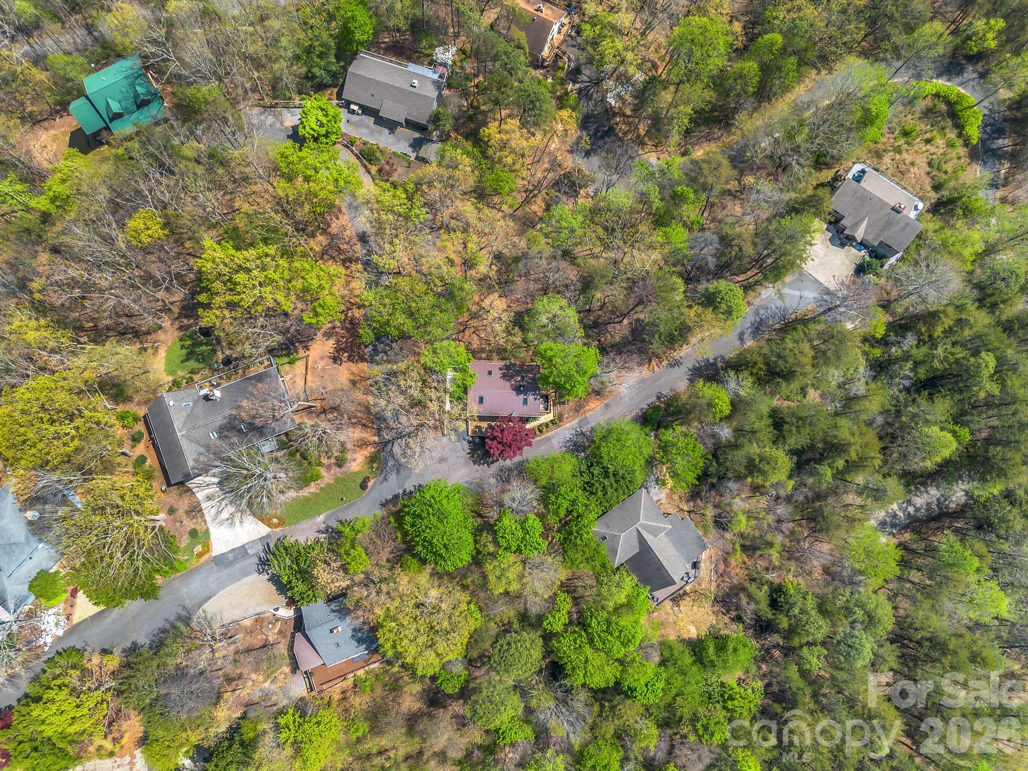 Rumbling Bald on Lake Lure - Residential