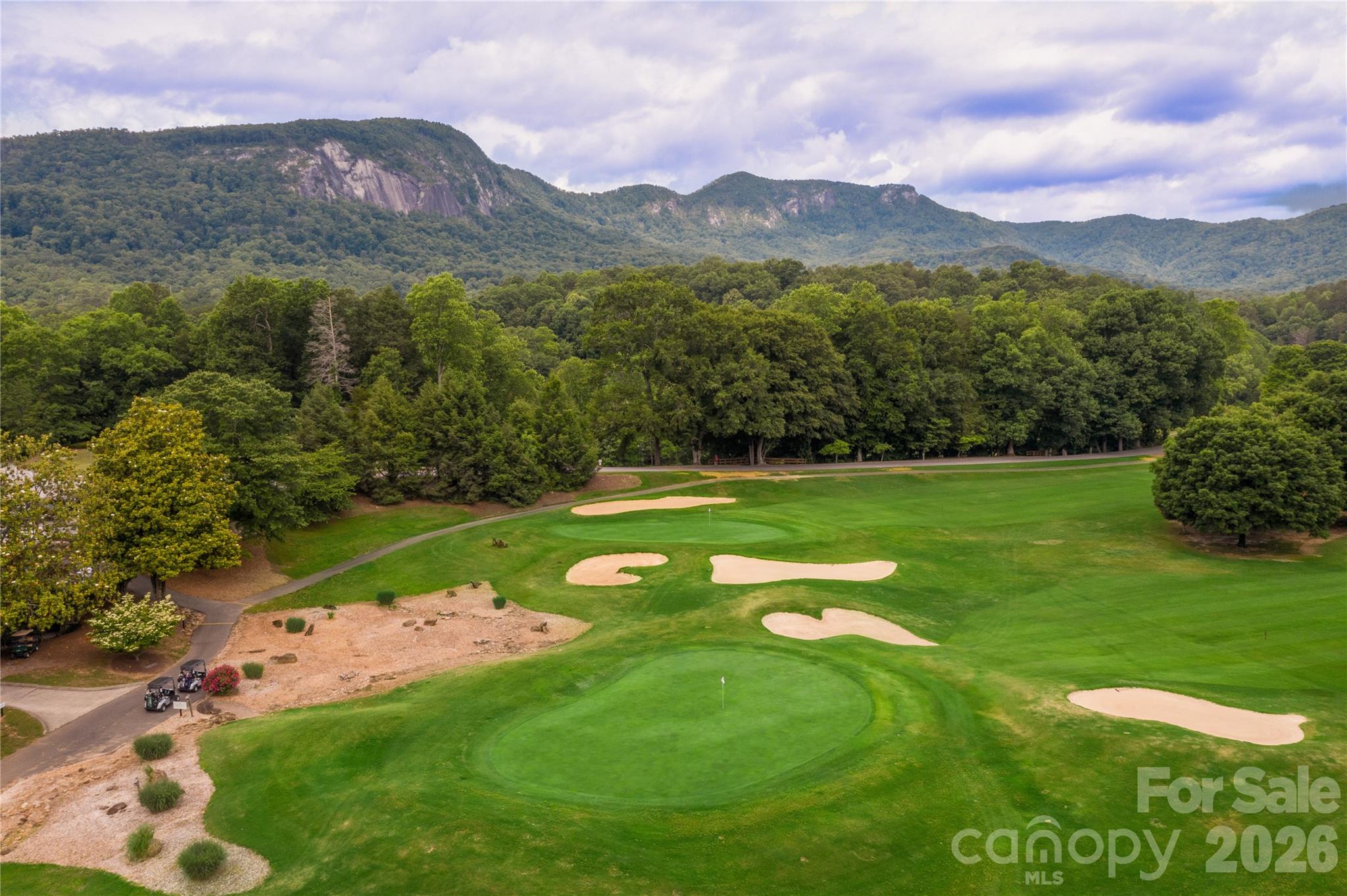 Rumbling Bald on Lake Lure - Residential