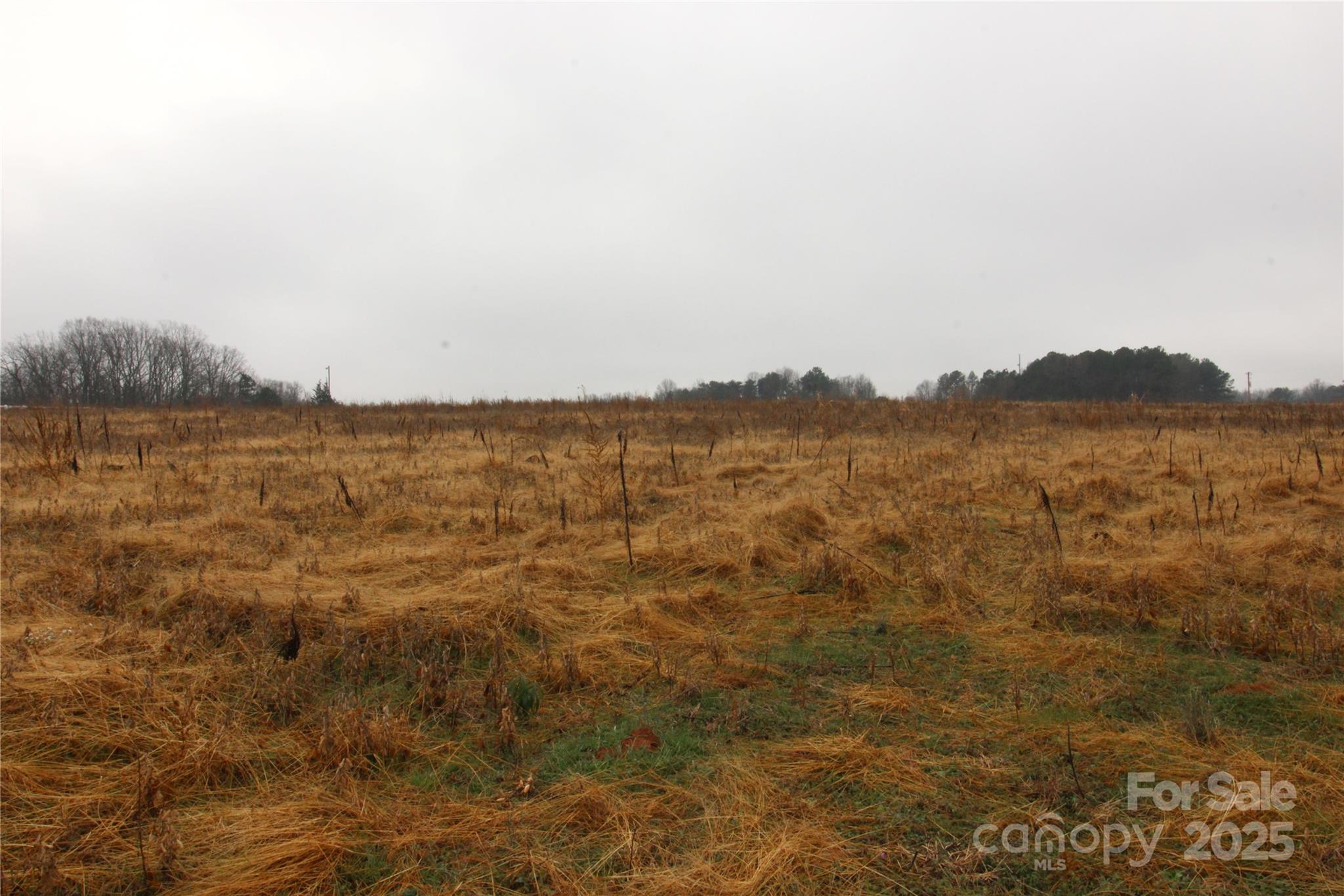 LOT D 3+/-AC Bess Road