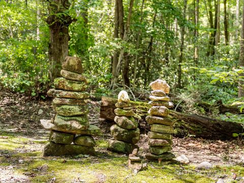 A home in Lake Lure