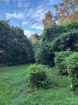 228 COTTAGE PL, CHARLOTTE, NC 28207 - Image f3b4e6ed86bc4f52c86a79bc761c71cc/2575430254