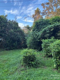 228 Cottage Place Charlotte NC 28207