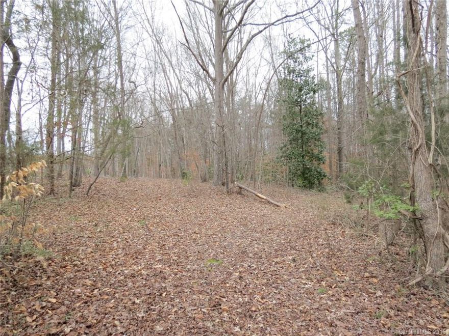 Very nice piece of property with a couple of nice build spots.  Nice mixture of large hardwoods and pines.  Property has a nice rolling topo and plenty of privacy.  Very convenient to York, Lake Wiley, and Charlotte.  Existing well and mobile home given no value.