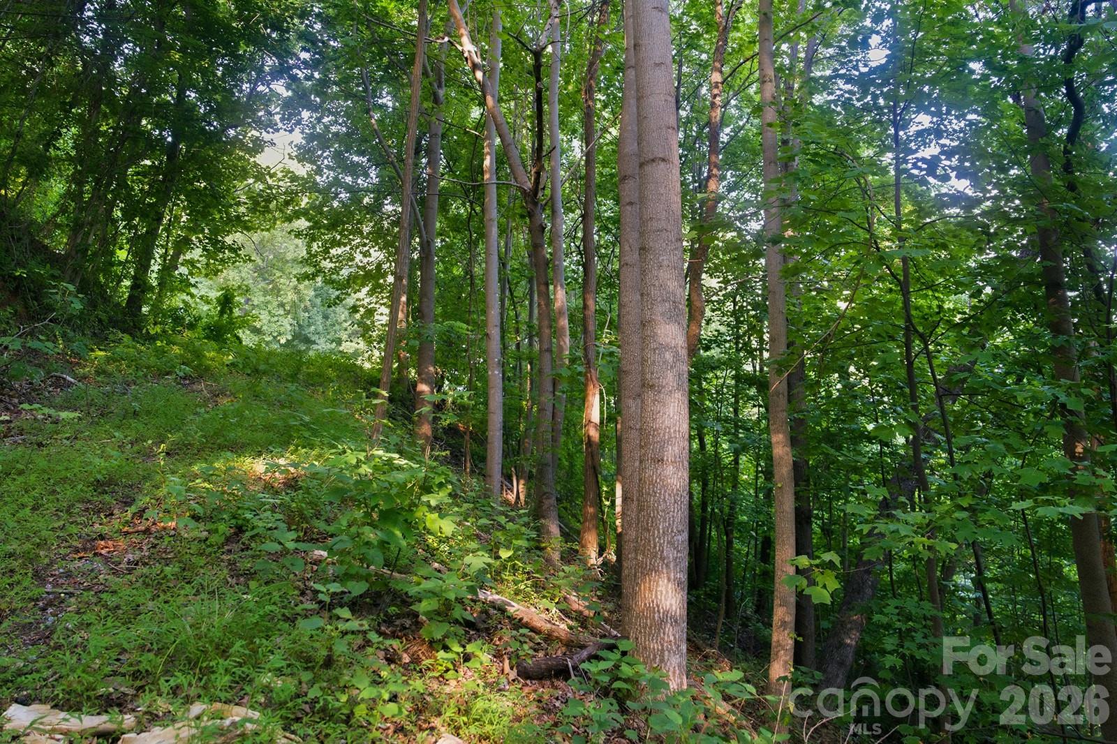 00 Ragans Pointe Pointe 58