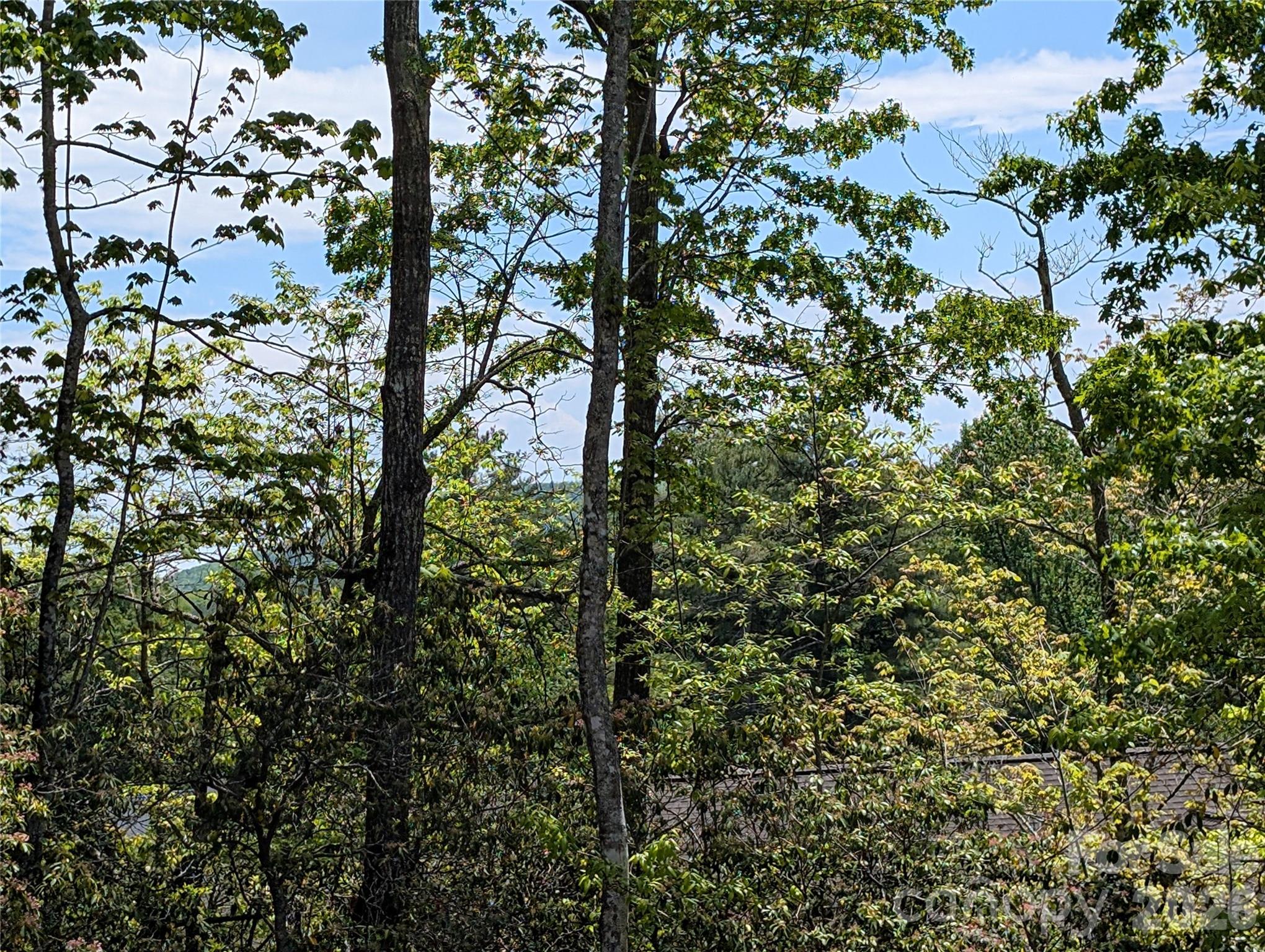 00 Winterberry Drive 54