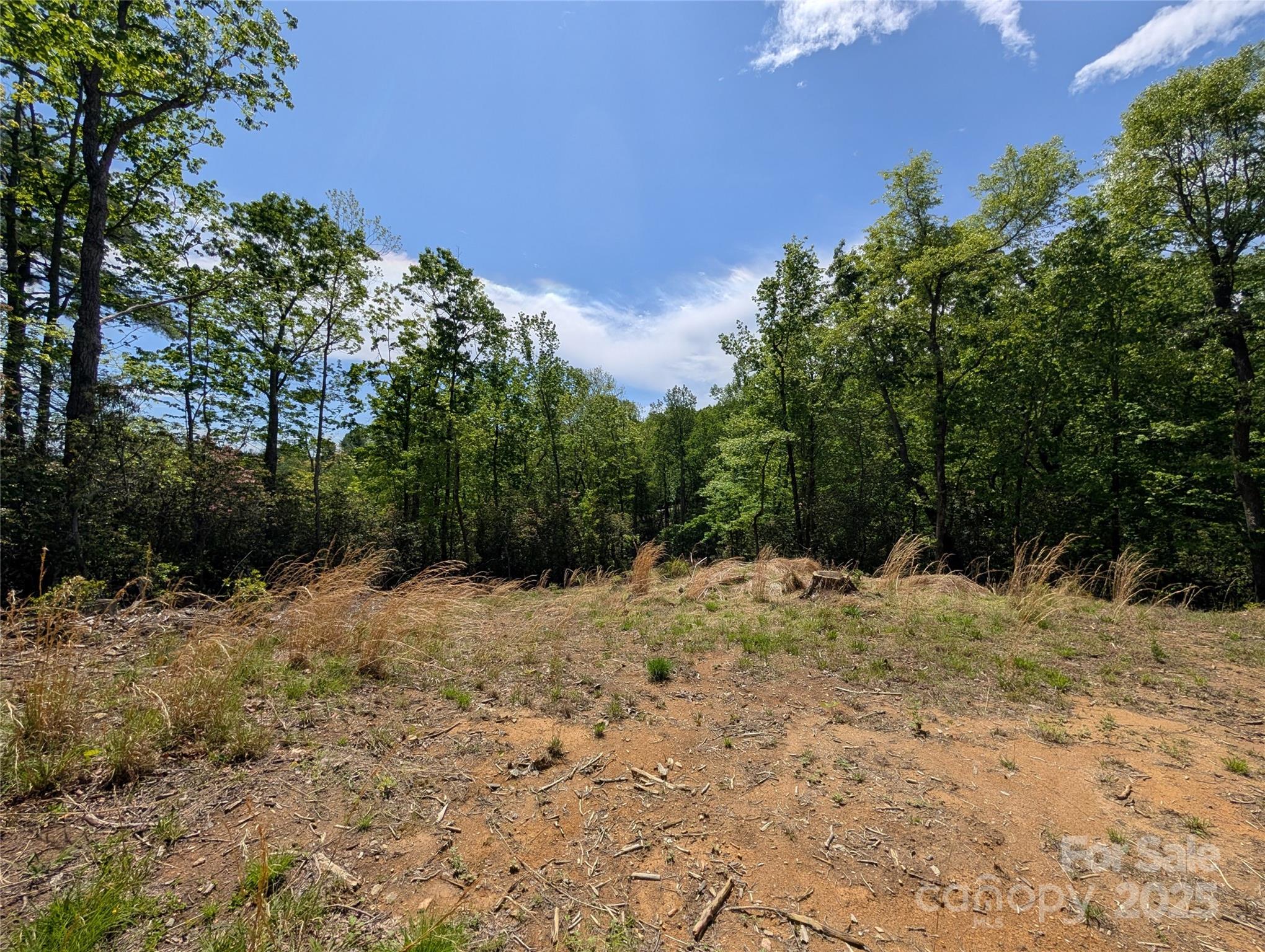 00 Winterberry Drive 54