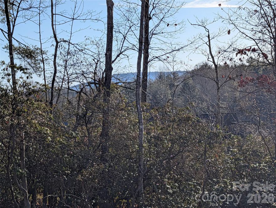 Gently sloping lot in the sought after Wilson Farm subdivision! Come build your dream home on almost one acre that has a cleared building sight and a 4 bedroom septic permit. This convenient location is just 10 minutes from Main Street with gentle roads to the property. Enjoy all Hendersonville has to offer with nearby golf, hiking trails, breweries, and Main Street festivals.