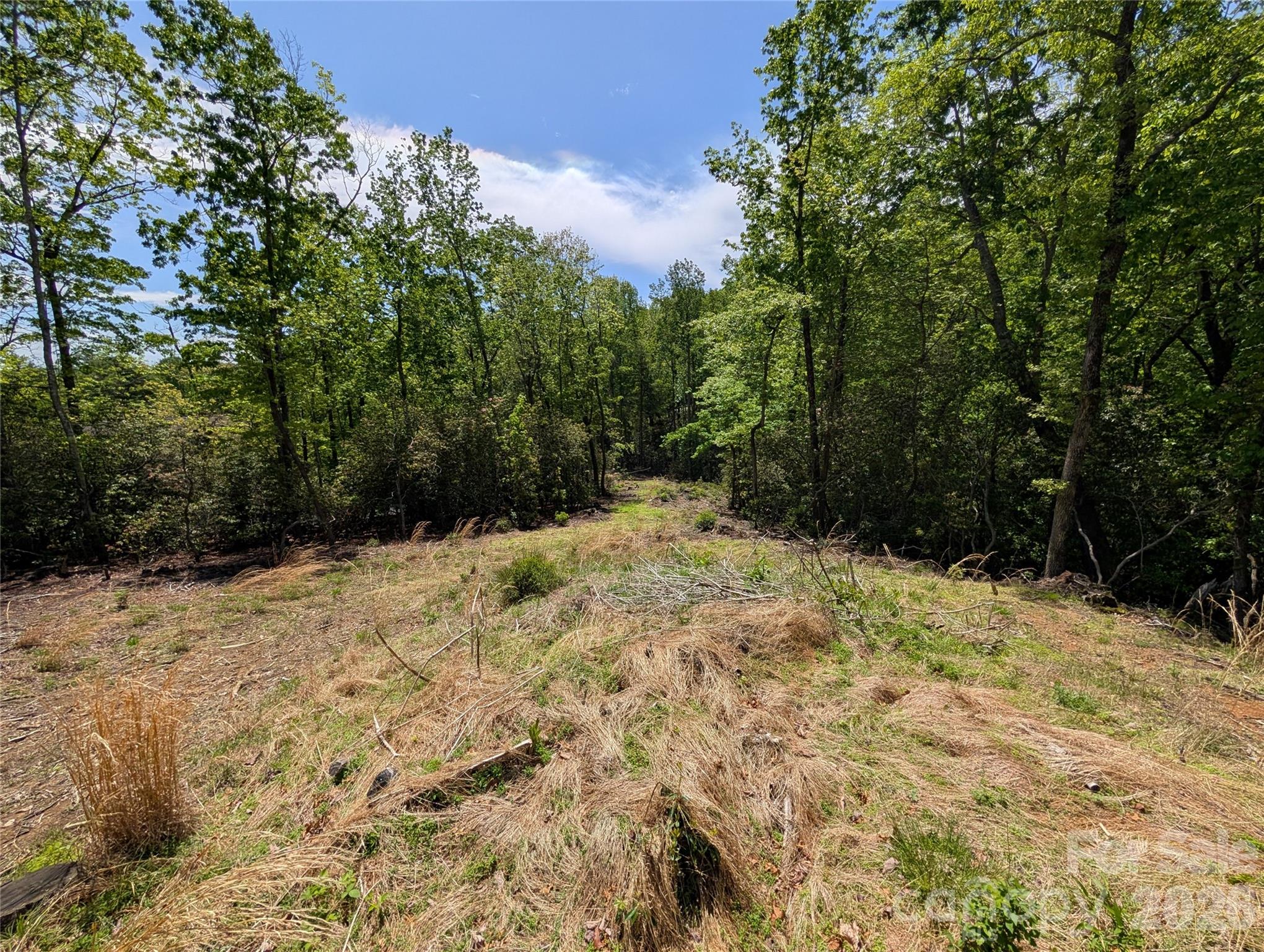 00 Winterberry Drive 54