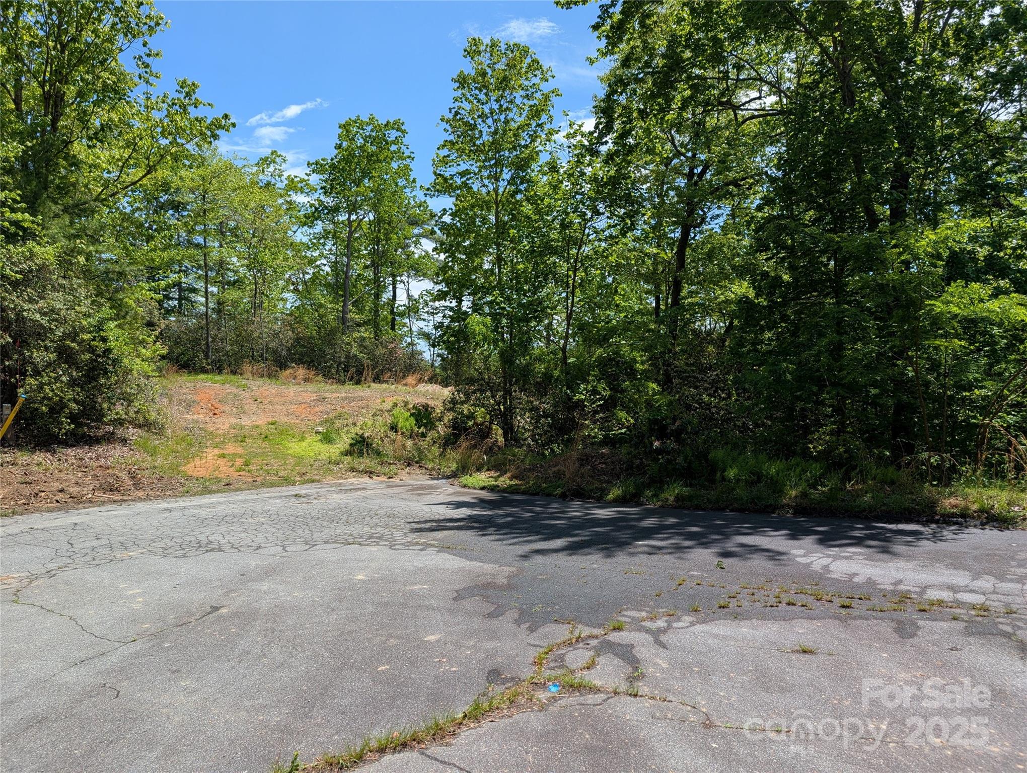 00 Winterberry Drive 54
