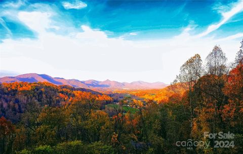 A home in Waynesville