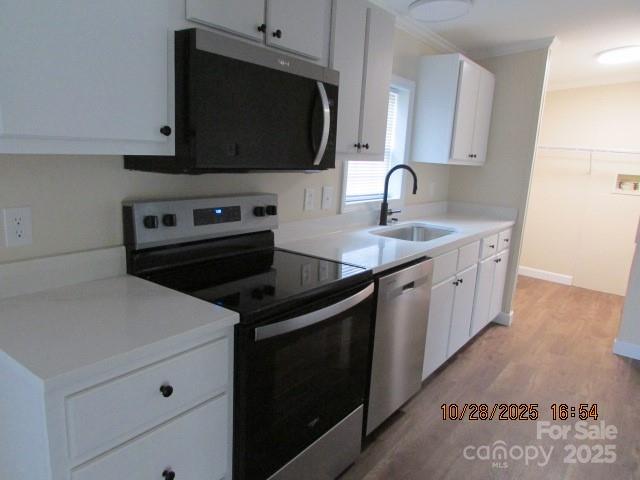 204 John E Randall Road