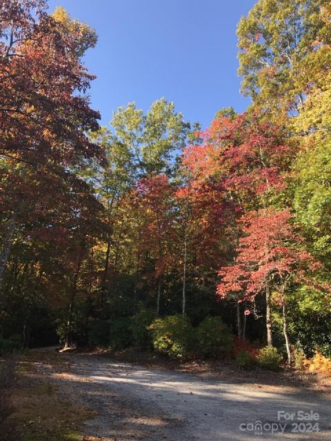 A home in Pisgah Forest