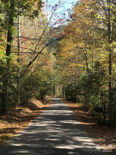 A home in Pisgah Forest