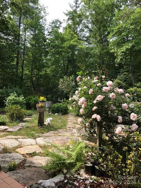 A home in Pisgah Forest