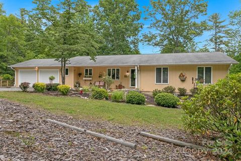 A home in Pisgah Forest