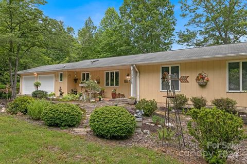 A home in Pisgah Forest