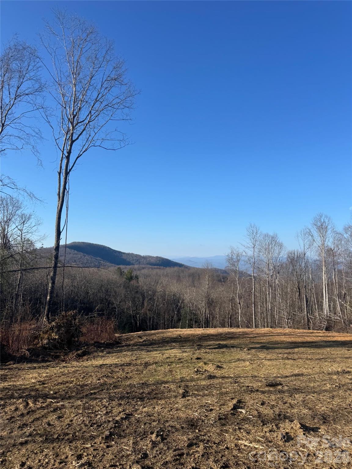 Grand Highlands at Bearwallow - Land