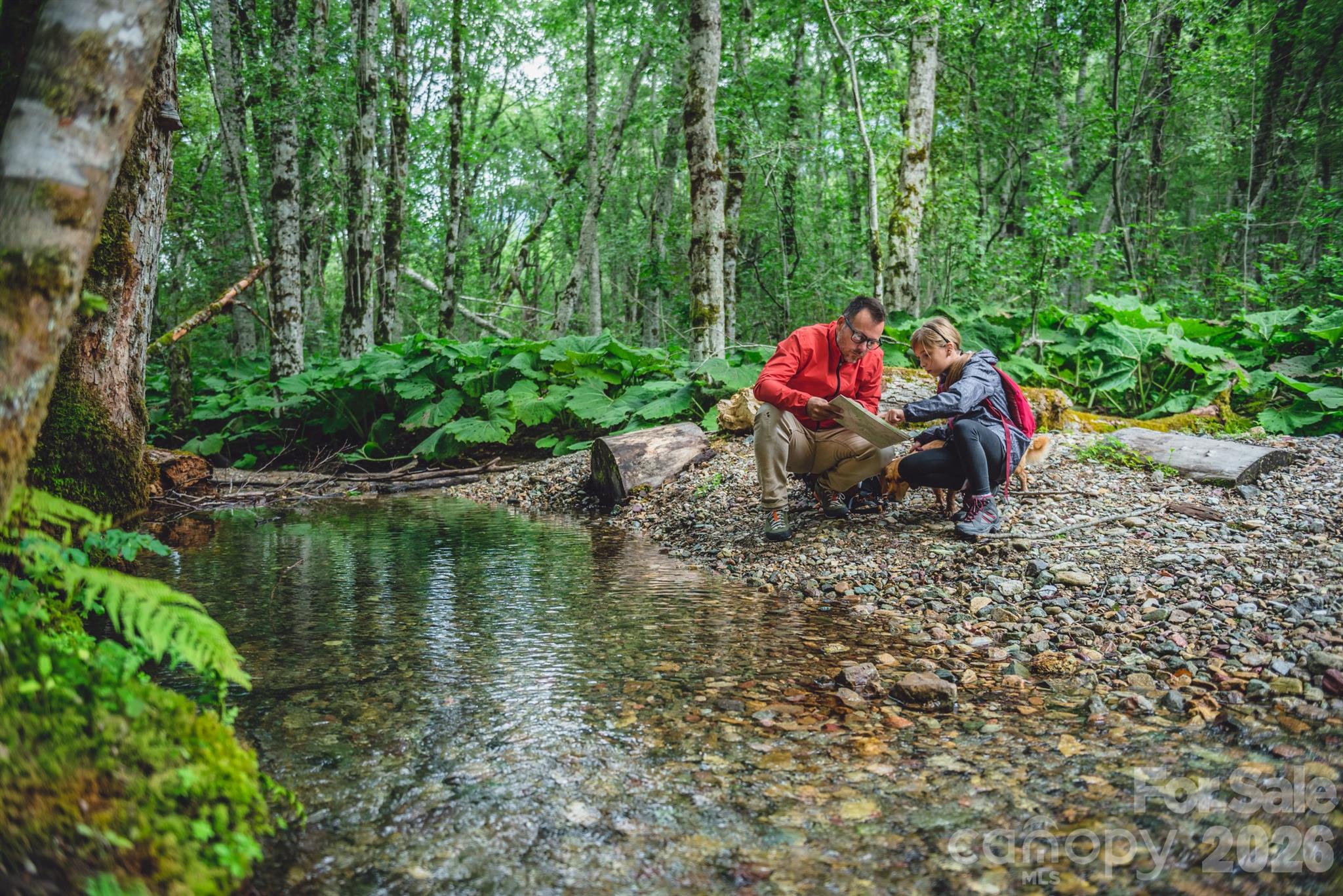 Bloomingdale - Residential