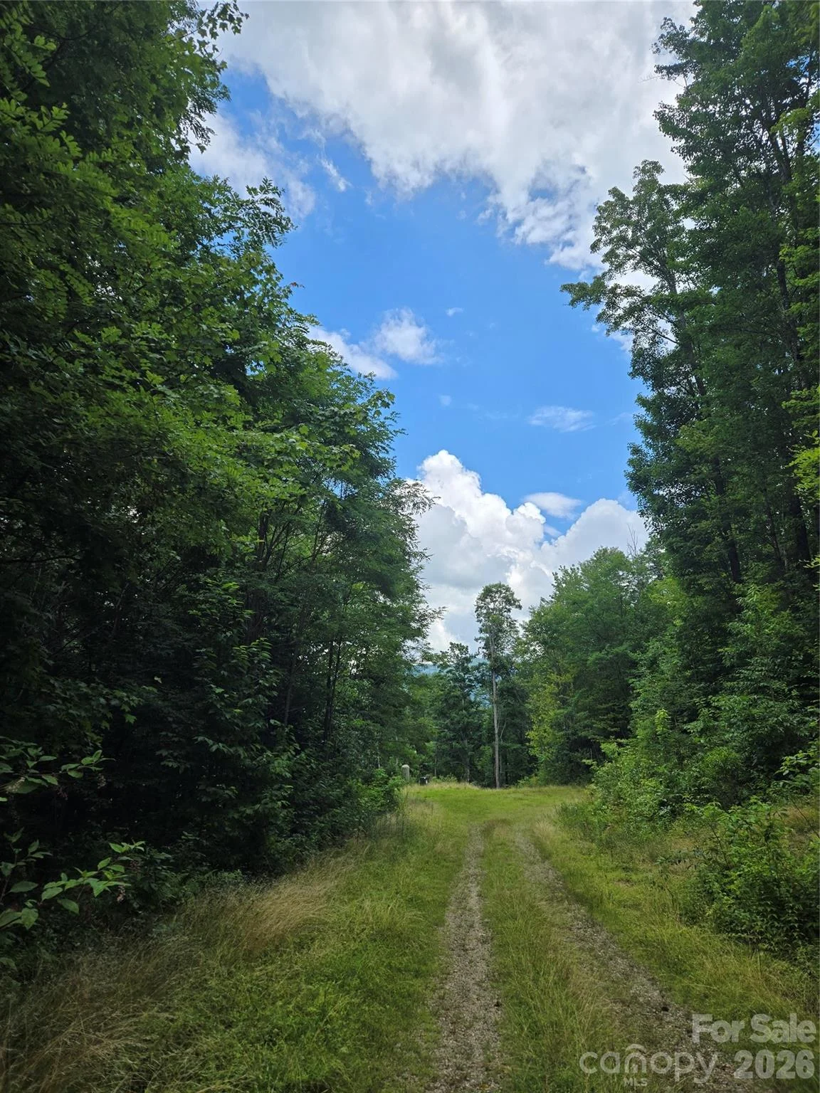 102 Tenderfoot Trail Unit 102 & 103, Maggie Valley, NC, 28751
