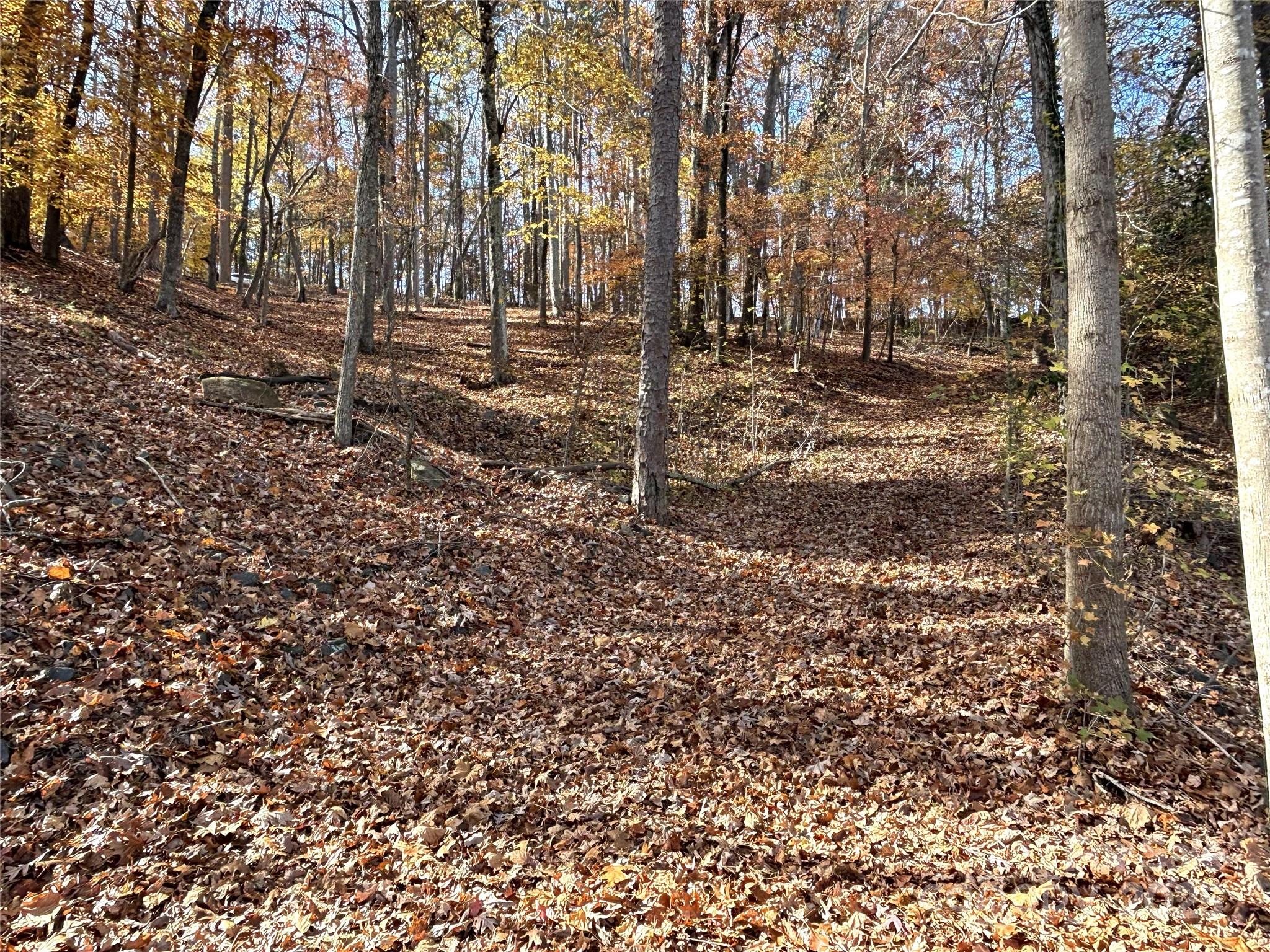 Vantage Pointe - Land