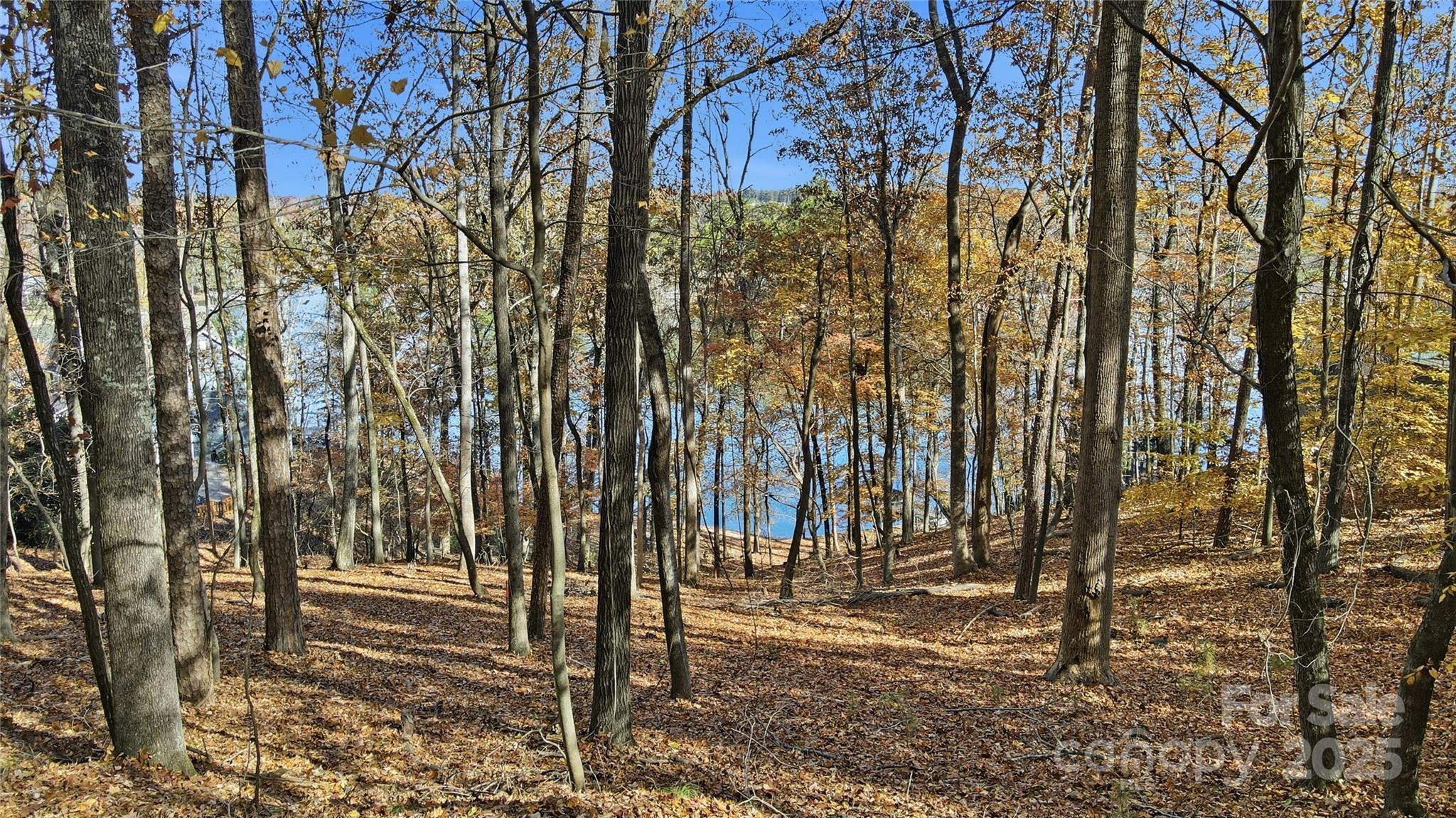 Vantage Pointe - Land