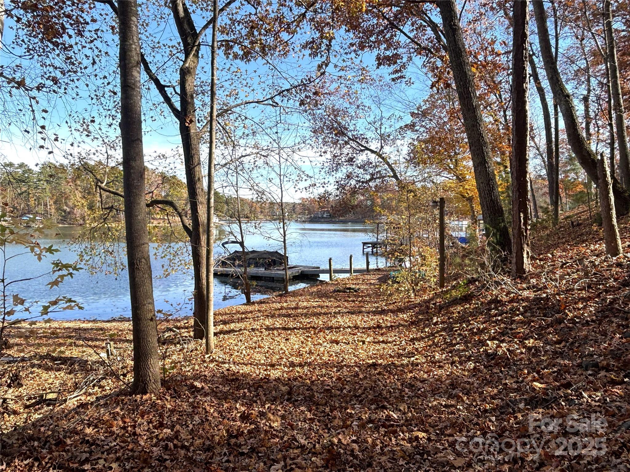 Vantage Pointe - Land