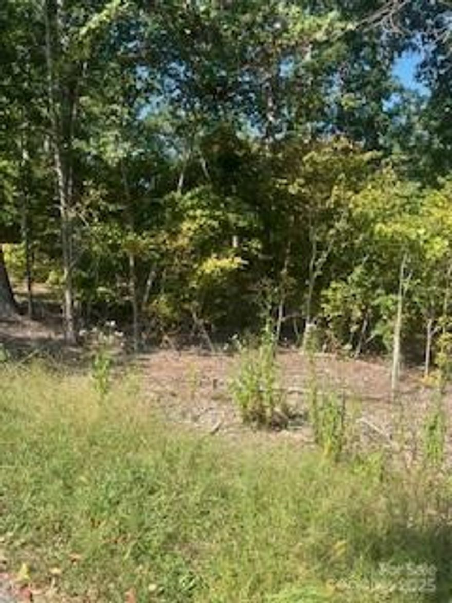 If you’re looking for privacy, nature and adventure this land is for you.  This property gives you the space and freedom to bring your vision to life. Whether you are looking to custom build, hunt or farm this land checks all the boxes. With no HOA, no restrictions and the flexibility to create what works for you. Enjoy the simple things in life with nature all around you. Call today for an appointment.