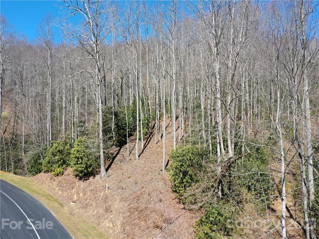 Cummings Cove - Land